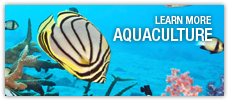 Aquaculture